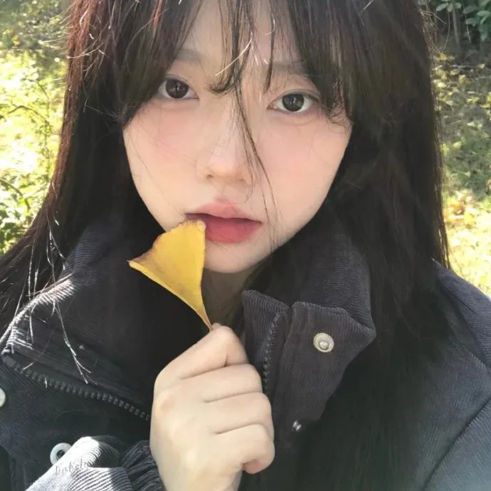 迈向一星料理